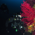 Snorkeling a Ischia: battesimo del mare